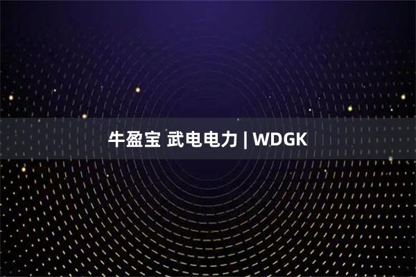 牛盈宝 武电电力 | WDGK