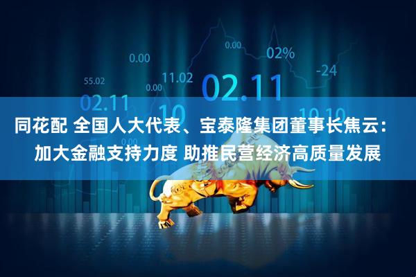 同花配 全国人大代表、宝泰隆集团董事长焦云： 加大金融支持力度 助推民营经济高质量发展