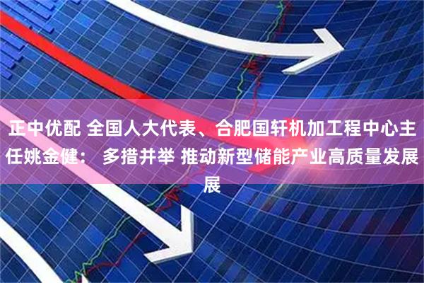 正中优配 全国人大代表、合肥国轩机加工程中心主任姚金健: 多措并举 推动新型储能产业高质量发展