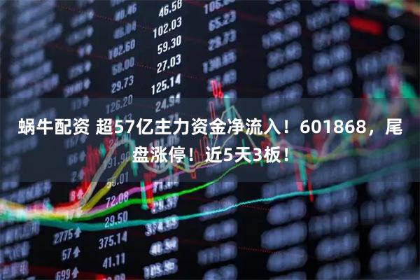 蜗牛配资 超57亿主力资金净流入！601868，尾盘涨停！近5天3板！