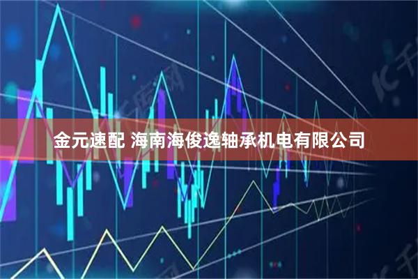 金元速配 海南海俊逸轴承机电有限公司