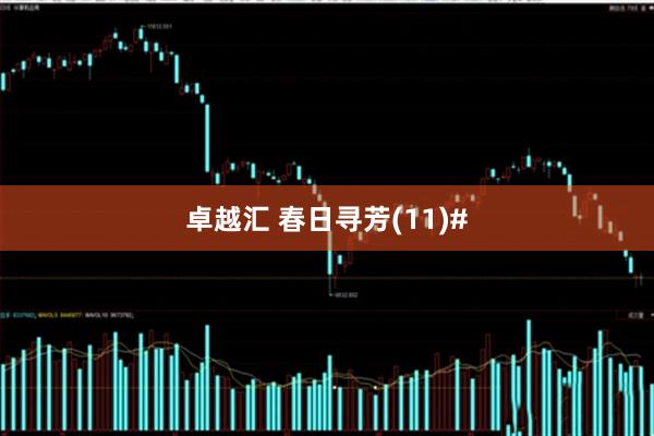 卓越汇 春日寻芳(11)#