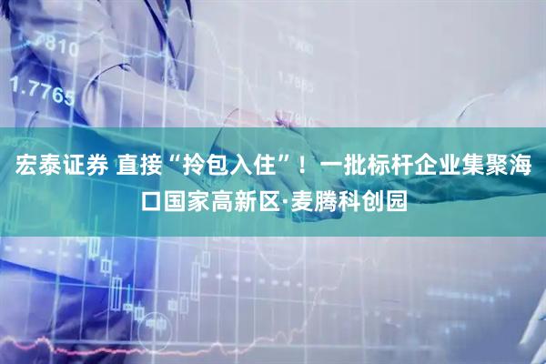 宏泰证券 直接“拎包入住”！一批标杆企业集聚海口国家高新区·麦腾科创园