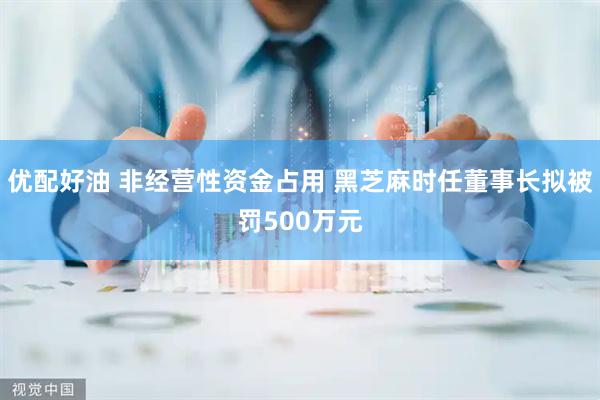 优配好油 非经营性资金占用 黑芝麻时任董事长拟被罚500万元