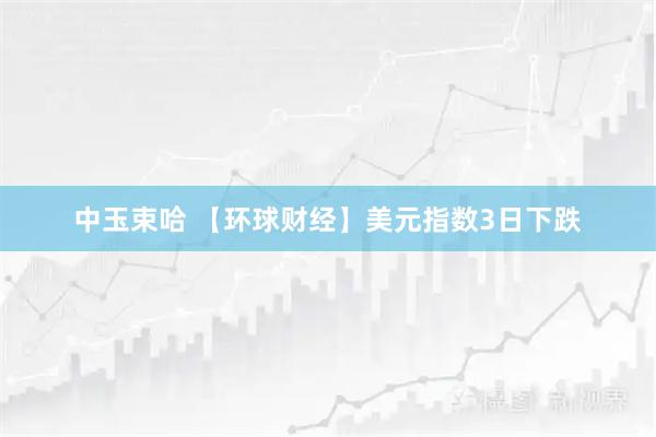 中玉束哈 【环球财经】美元指数3日下跌