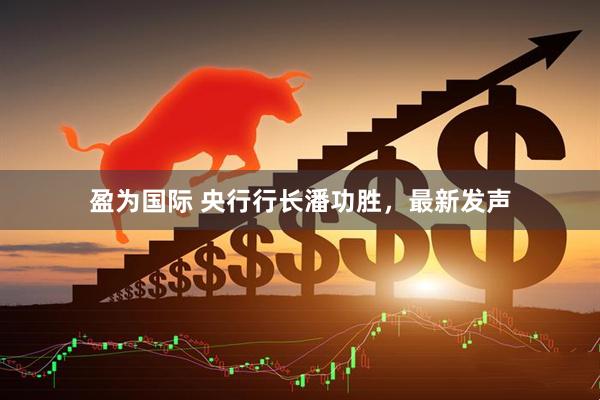盈为国际 央行行长潘功胜,最新发声