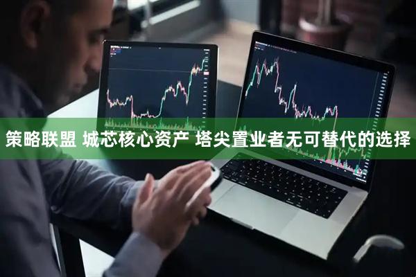 策略联盟 城芯核心资产 塔尖置业者无可替代的选择