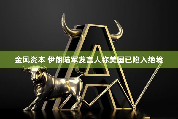 金风资本 伊朗陆军发言人称美国已陷入绝境